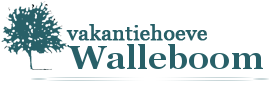 logo Walleboom